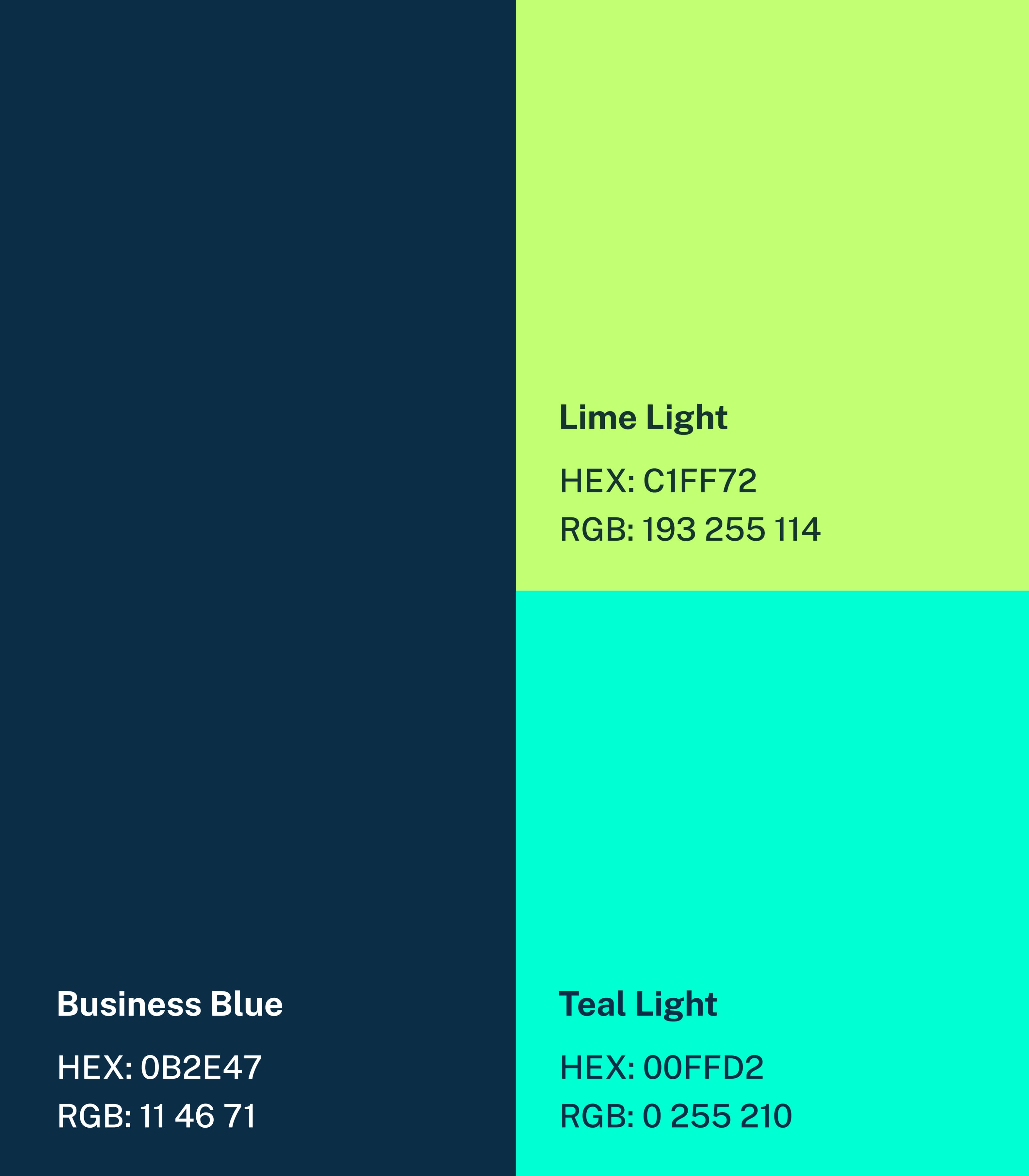 Irish Business Network image