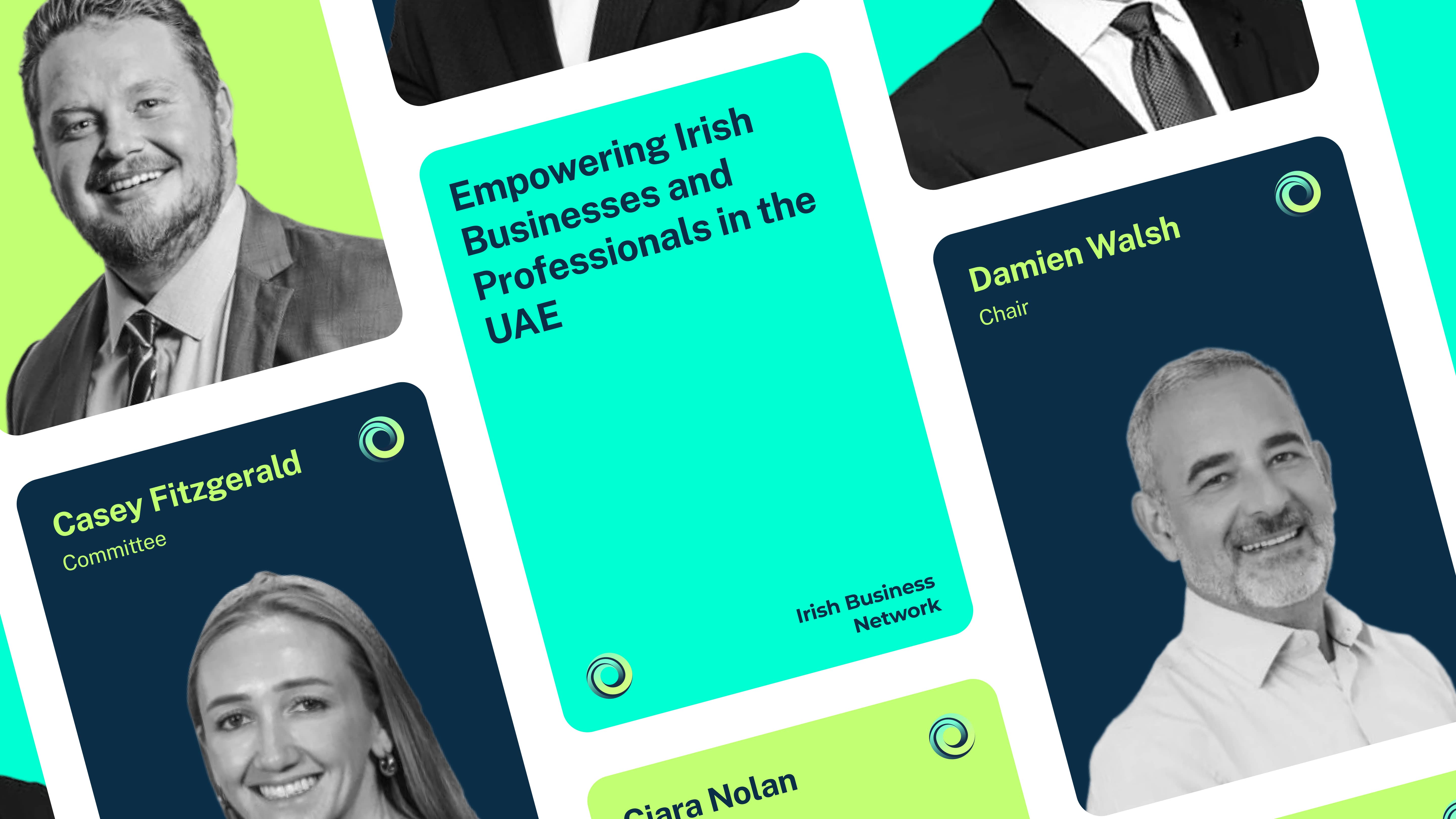 Irish Business Network image