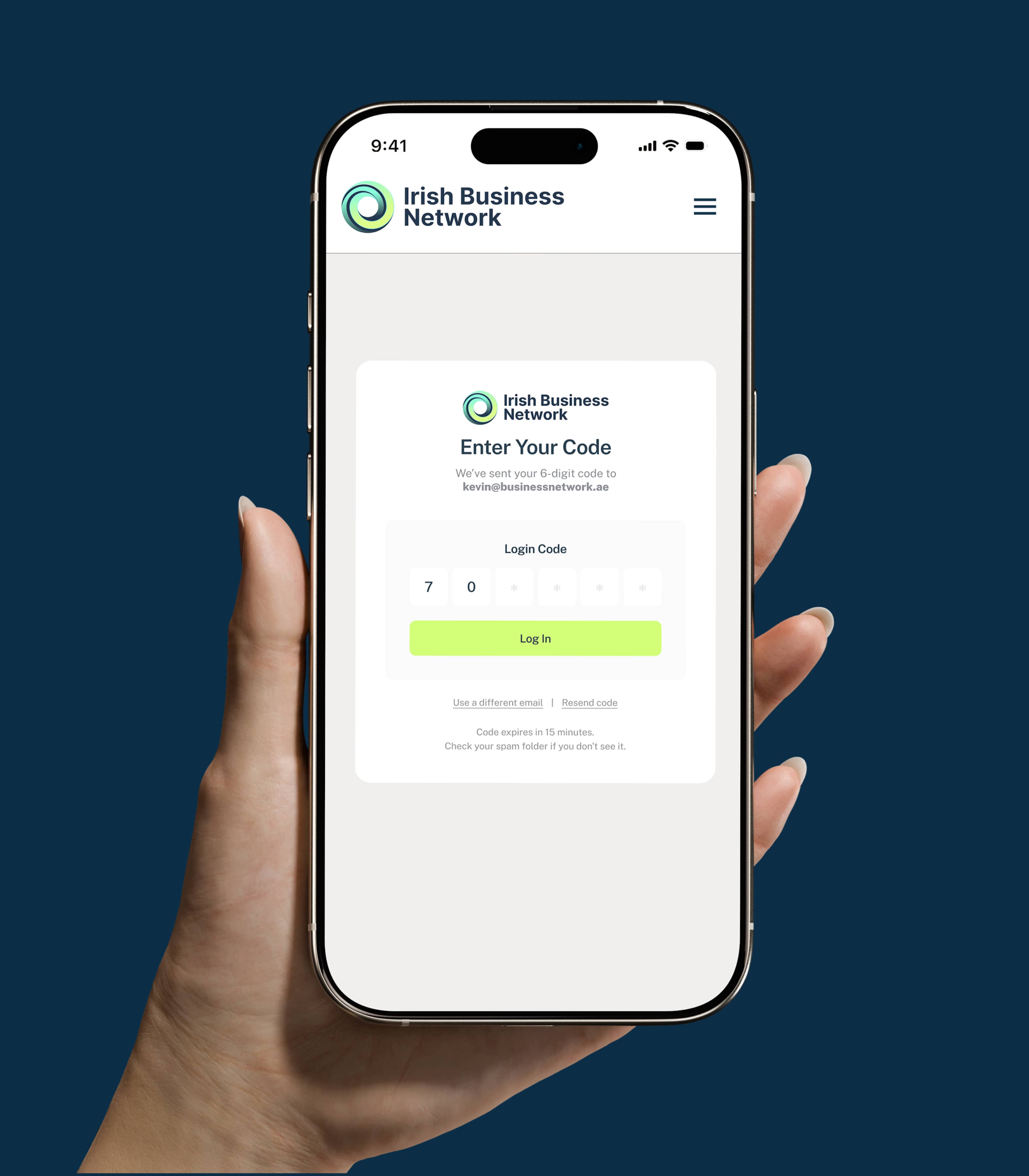 Irish Business Network image