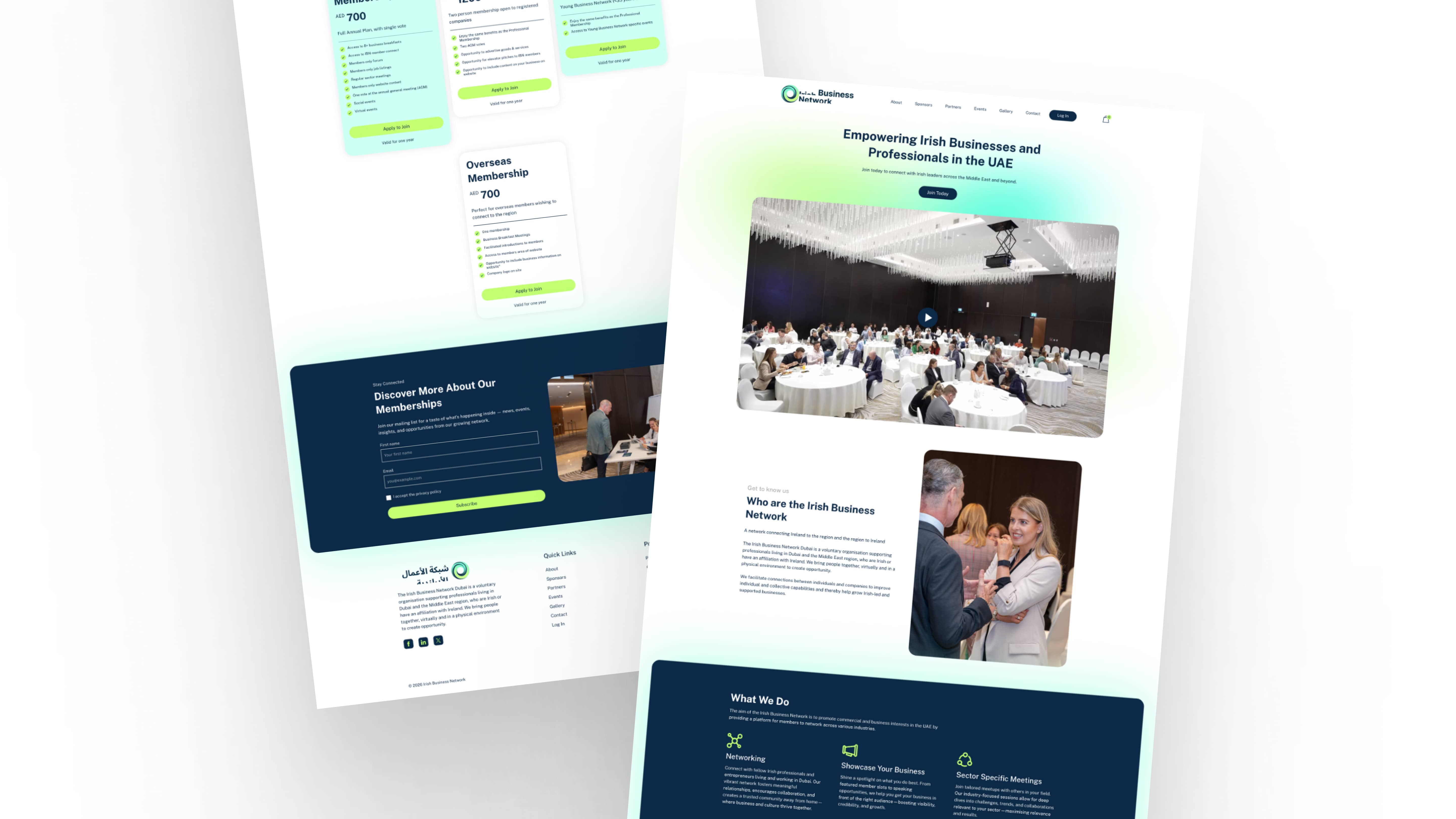 Irish Business Network image