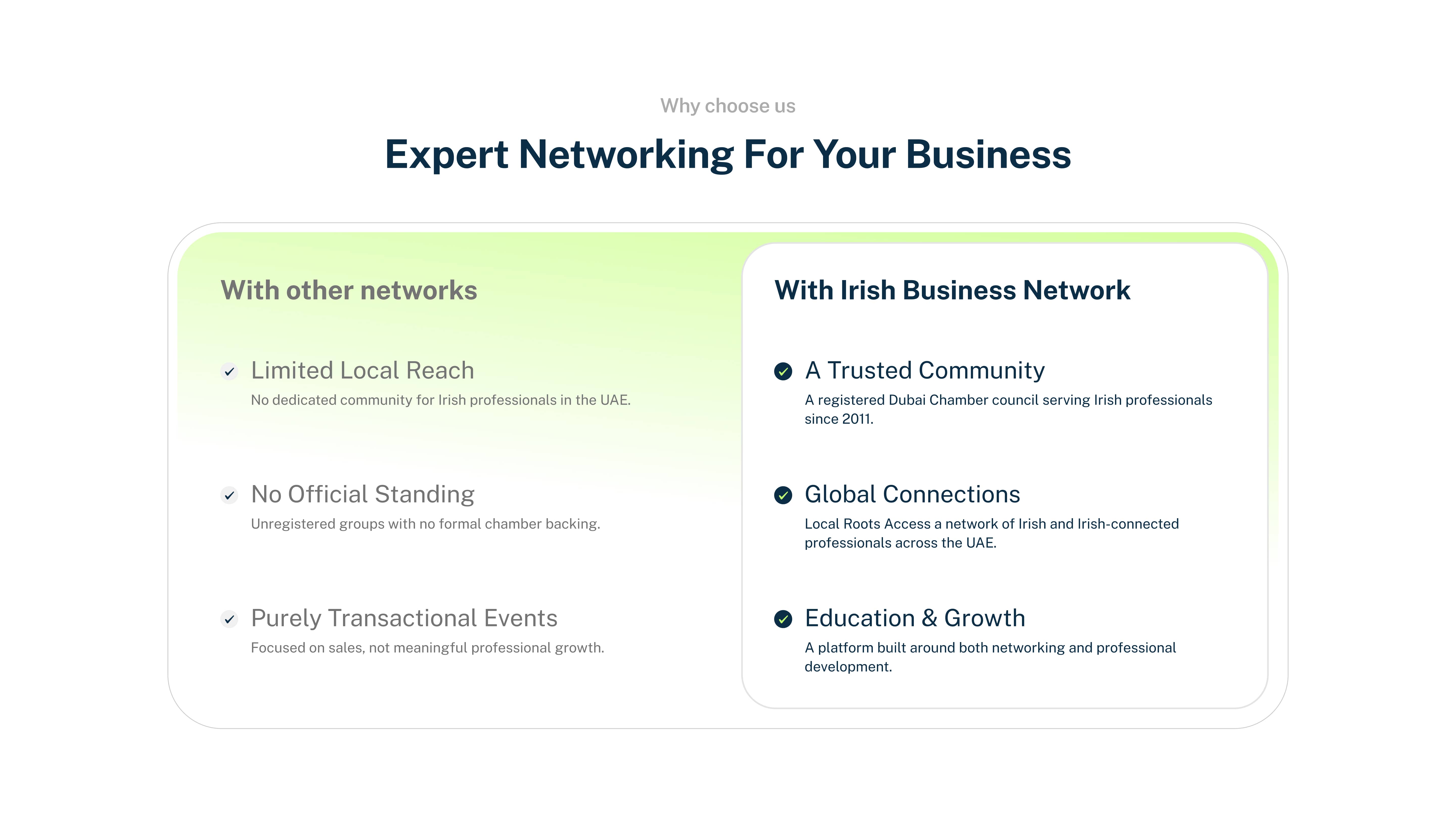 Irish Business Network image