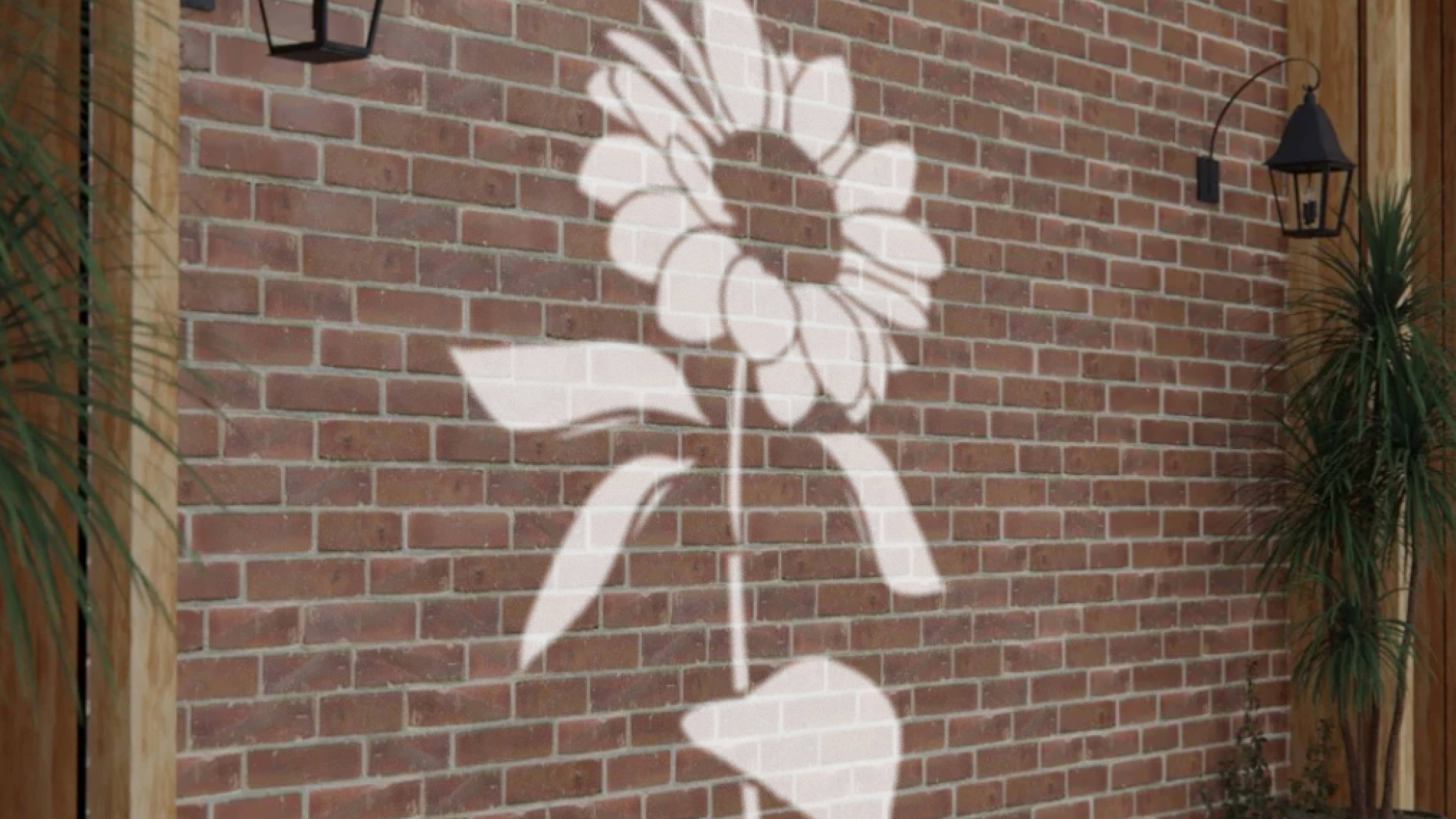 Projected Image image
